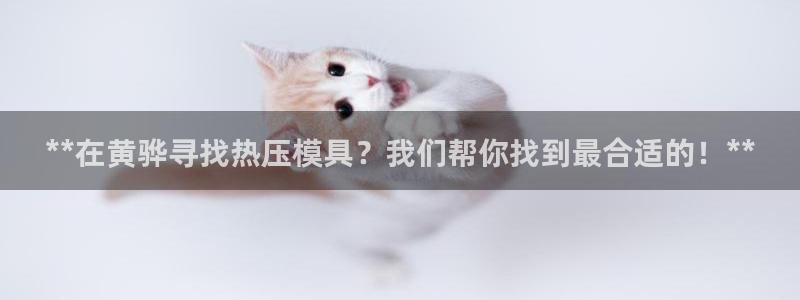易倍单词app下载：**在黄骅寻找热压模具？我们帮你找到