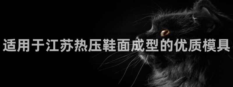 emc易倍下载:适用于江苏热压鞋面成型的优质模具