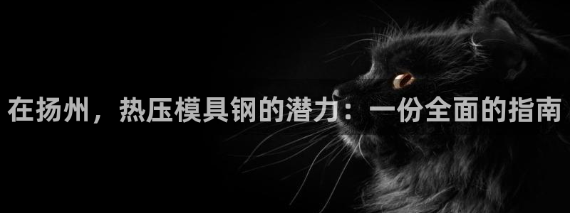 emc倍频：在扬州，热压模具钢的潜力：一份全面的指南