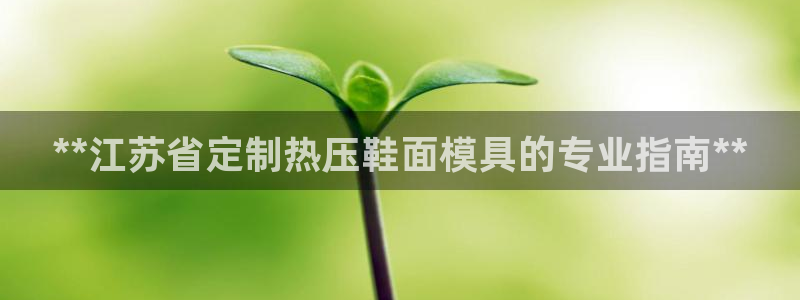 易倍纤价格：**江苏省定制热压鞋面模具的专业指南**