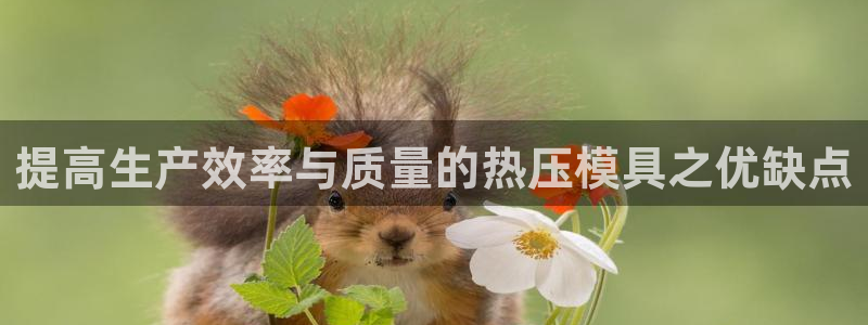 emc易倍官方平：提高生产效率与质量的热压模具之优缺点
