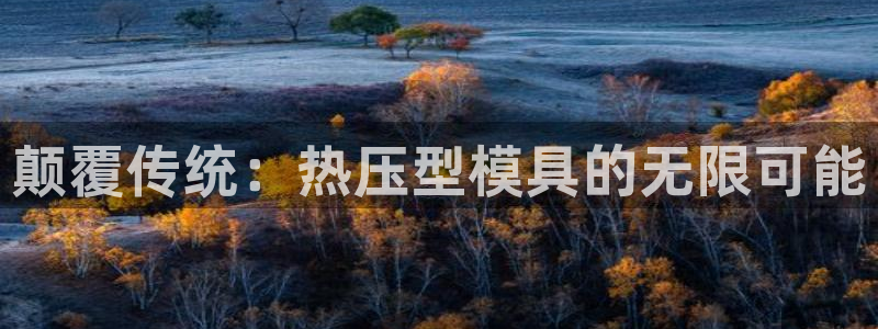 emc低频不过：颠覆传统：热压型模具的无限可能