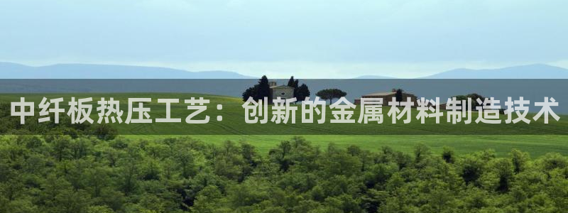 易倍网络技术有限公司招聘：中纤板热压工艺：创新的金属材料