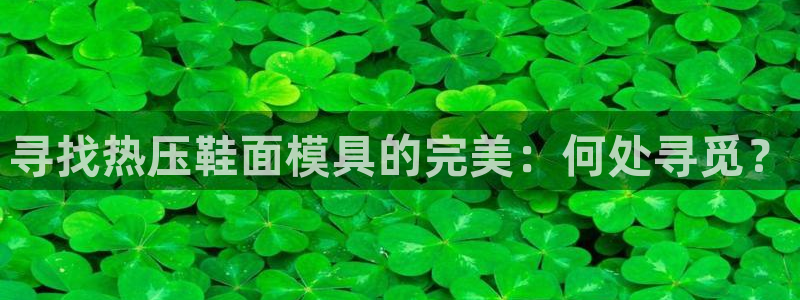 易倍电竞安装教程：寻找热压鞋面模具的完美：何处寻觅？