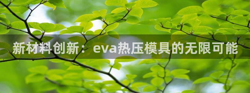 emc易倍全站：新材料创新：eva热压模具的无限可能