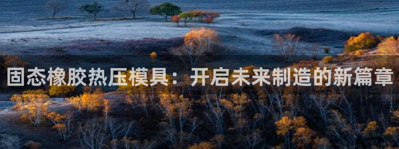 易倍电竞,有球必应：固态橡胶热压模具：开启未来制造的新篇