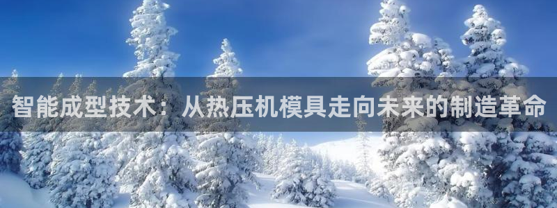 emc易倍首页：智能成型技术：从热压机模具走向未来的制造