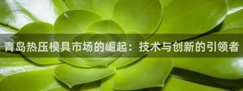上海易倍投资有限公司：青岛热压模具市场的崛起：技术与创新