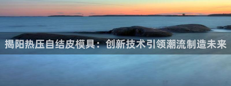 emc低频不过：揭阳热压自结皮模具：创新技术引领潮流制造