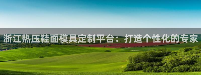 易倍单词官方网站登录：浙江热压鞋面模具定制平台：打造个性