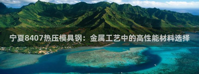 emc全站易倍：宁夏8407热压模具钢：金属工艺中的高性