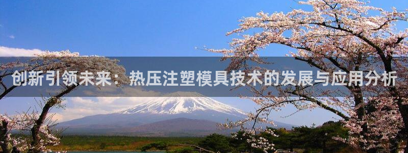 易倍单词官方网站的：创新引领未来：热压注塑模具技术的发展