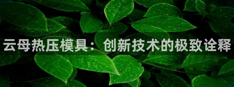 易倍申可以长期服用吗：云母热压模具：创新技术的极致诠释