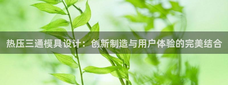 易倍下载：热压三通模具设计：创新制造与用户体验的完美结合