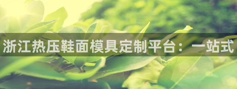 易倍申价格