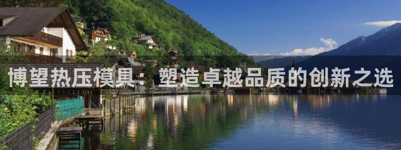 易倍申每盒价格是多少?：博望热压模具：塑造卓越品质的创新