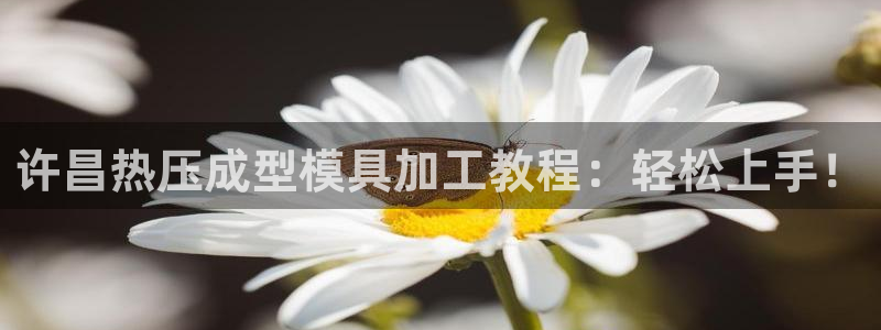 EMC倍频原理：许昌热压成型模具加工教程：轻松上手！
