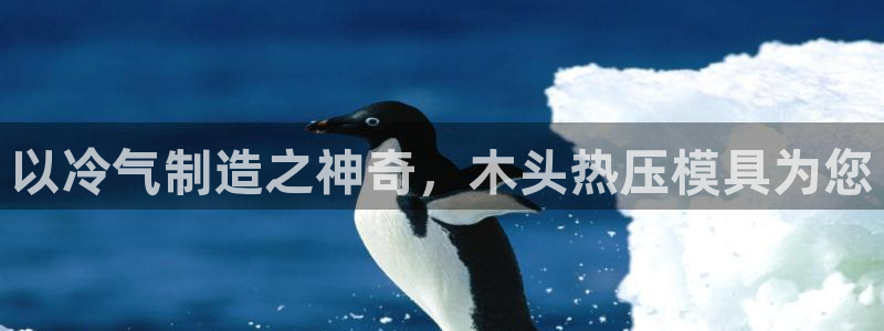 EMC易倍：以冷气制造之神奇，木头热压模具为您