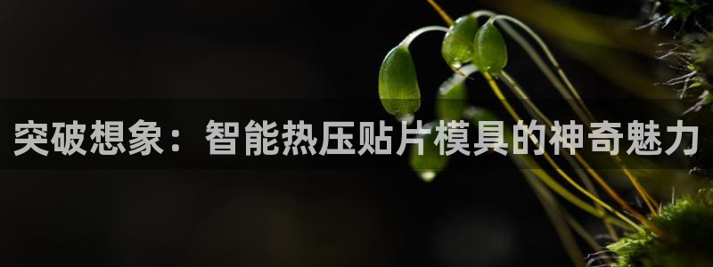 emc全站app下载：突破想象：智能热压贴片模具的神奇魅