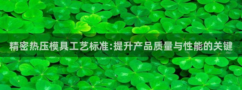 emc易倍出空款：精密热压模具工艺标准:提升产品质量与性