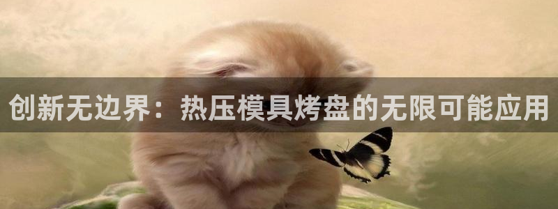 易倍纤奶昔减肥效果怎么样：创新无边界：热压模具烤盘的无限