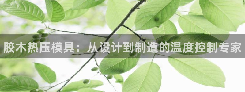 易倍申效果怎么样