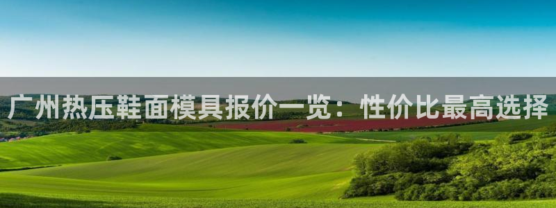 emc倍频干扰怎么解决：广州热压鞋面模具报价一览：性价比