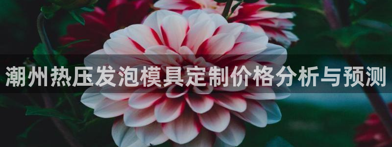 emc备份软件：潮州热压发泡模具定制价格分析与预测