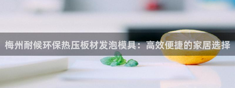 emc易倍官方平台：梅州耐候环保热压板材发泡模具：高效便