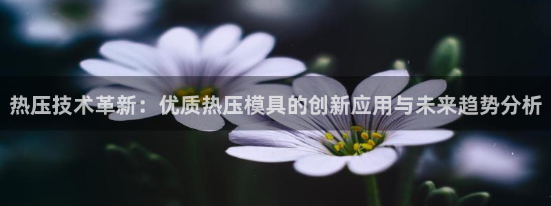 EMC易倍：热压技术革新：优质热压模具的创新应用与未来趋