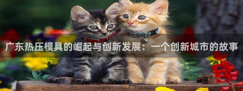 易倍申在中国成功上市