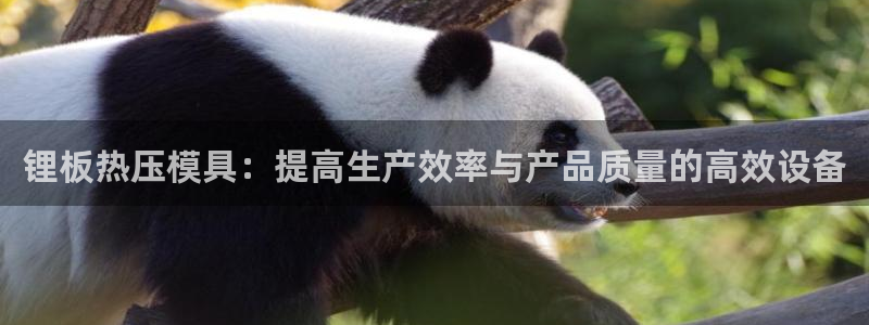易倍申不良反应：锂板热压模具：提高生产效率与产品质量的高