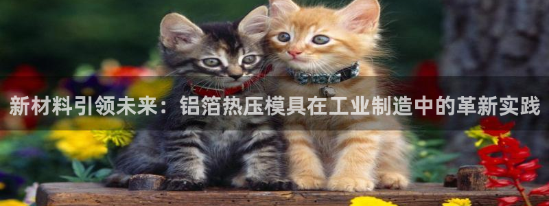 易倍申安理申区别：新材料引领未来：铝箔热压模具在工业制造