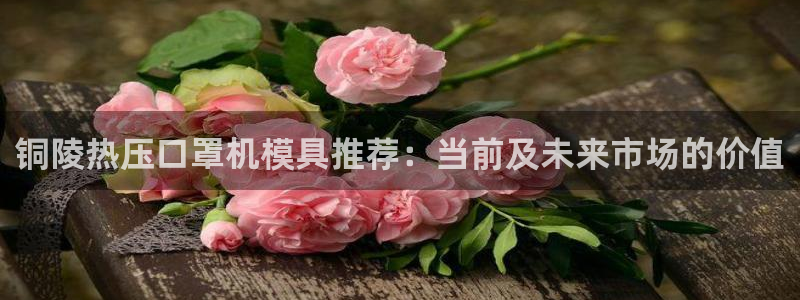 易倍思怎么样