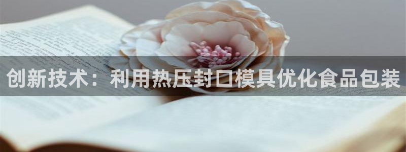emc32软件安装：创新技术：利用热压封口模具优化食品包