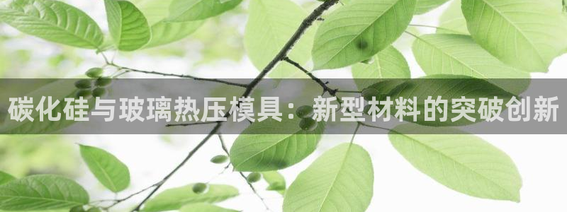 南京易倍易电子科技有限公司：碳化硅与玻璃热压模具：新型材