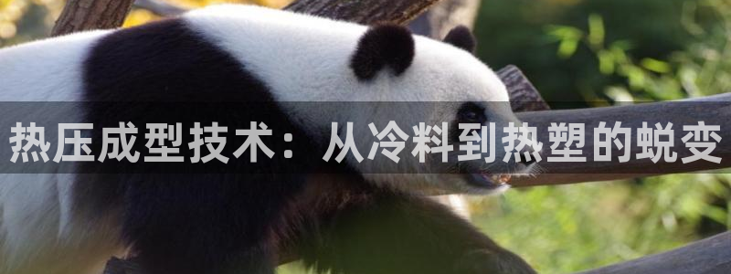 易倍单词官方网站登录：热压成型技术：从冷料到热塑的蜕变