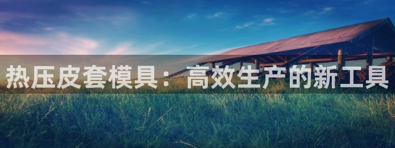 易倍申价格：热压皮套模具：高效生产的新工具