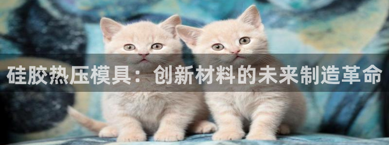 EMC易倍让身份验证：硅胶热压模具：创新材料的未来制造革