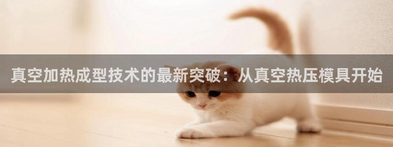 易倍申多少钱：真空加热成型技术的最新突破：从真空热压模具