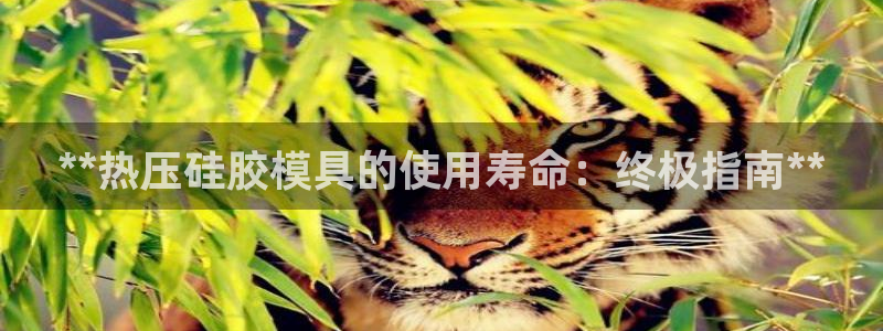 易倍企业管理软件怎么样：**热压硅胶模具的使用寿命：终极