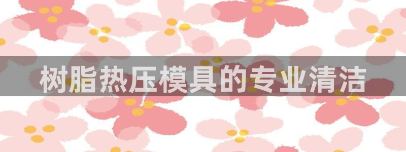 emc全站app下载：树脂热压模具的专业清洁