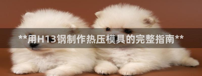 易倍申价格是多少：**用H13钢制作热压模具的完整指南*