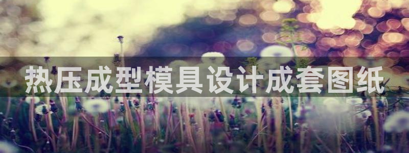 EMC易倍让身份验证:热压成型模具设计成套图纸