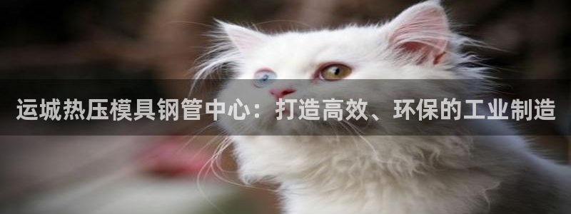 EMC易倍官方网址:运城热压模具钢管中心:打造高效、环保