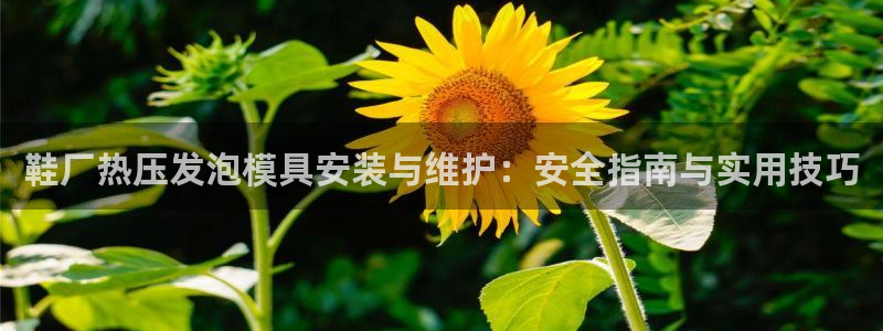 易倍单词app官网：鞋厂热压发泡模具安装与维护：安全指南