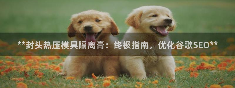 emc易倍账号异常:**封头热压模具隔离膏:终极指南,优