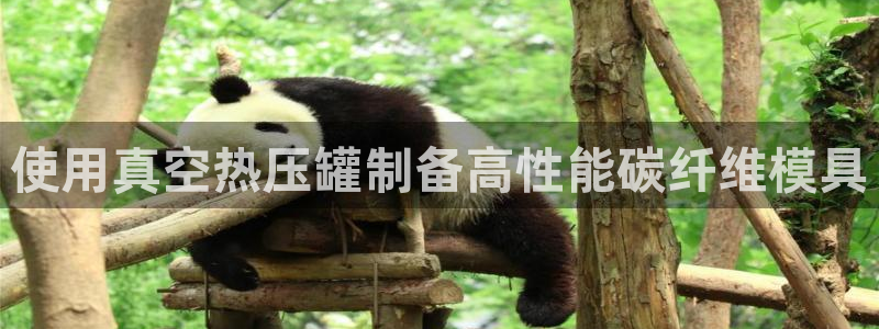 emc服务器是干啥的:使用真空热压罐制备高性能碳纤维模具