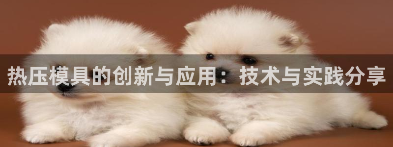 易倍申在中国成功上市:热压模具的创新与应用:技术与实践分