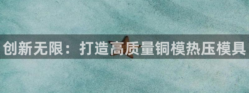 emc倍频超了：创新无限：打造高质量铜模热压模具